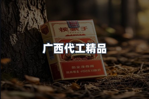 广西代工精品